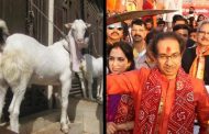 Muslim community in Maharashtra angry over Bakrid rules, Congress leader also raised questions