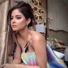 Hopefully producers will wait for theaters to open: Meera Chopra