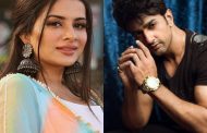 These contestants have been homeless so far from Bigg Boss 14's house, only they have got re-entry