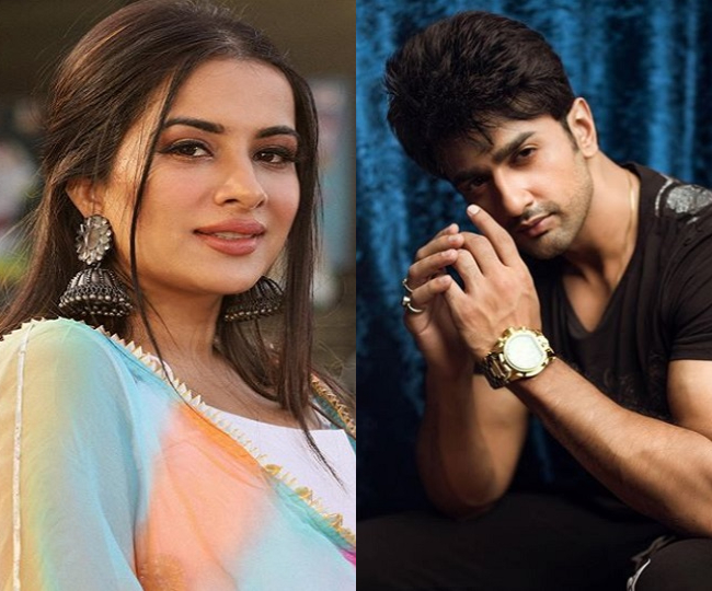 These contestants have been homeless so far from Bigg Boss 14's house, only they have got re-entry
