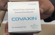 Covaxin Meets WHO Standards: Combined Drugs Controller