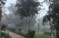 Fog disturbed on Saturday morning, crores of people of Delhi-NCR tremble at night due to earthquake