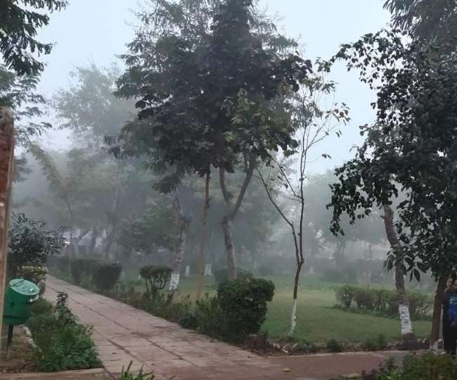 Fog disturbed on Saturday morning, crores of people of Delhi-NCR tremble at night due to earthquake