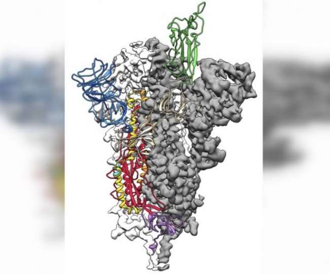 Know how much the risk increases, mutations in spike proteins become more contagious