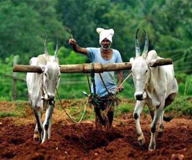 16.5 lakh crore agricultural loan, finance minister's big gift to farmers