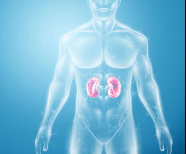 Do not ignore these changes in the body which can be a sign of kidney cancer