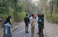 Forest Department officials increased patrolling, elephant killed by Nilkanth was beaten to death