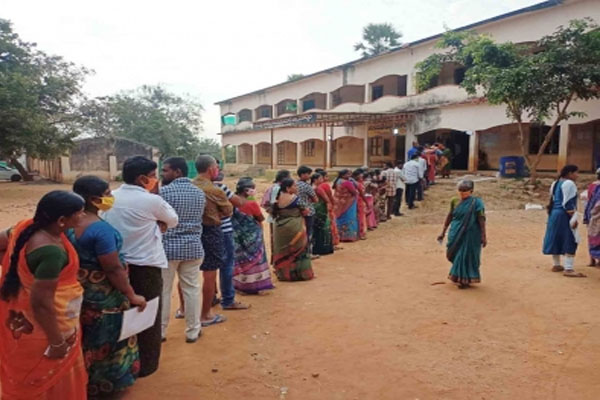 BJP officials will not contest panchayat elections in Uttar Pradesh