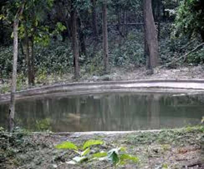 Water supply from Fatehpur range from five km away to quench the thirst of tiger and leopard