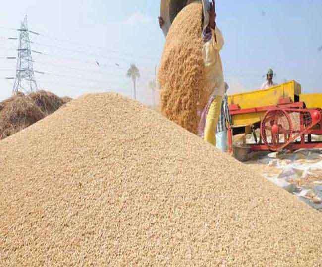 Government procurement of wheat starts in Punjab's mandis today, may be discussed with CM again