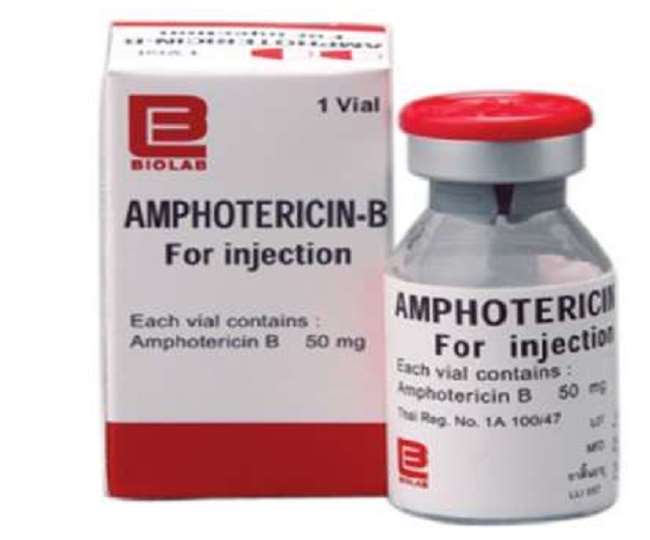 Which state asked for Amphotericin-B, Rudrapur's company is preparing such a dose