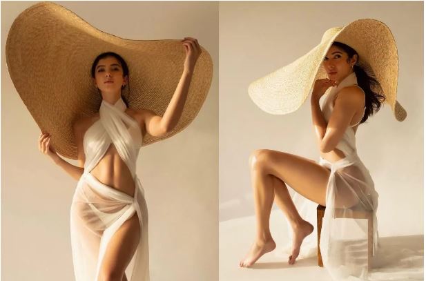 Shanaya's bold avatar in transparent clothes, photos went viral