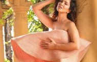 Sunny Leone did a nude photoshoot so there was a stir on the internet