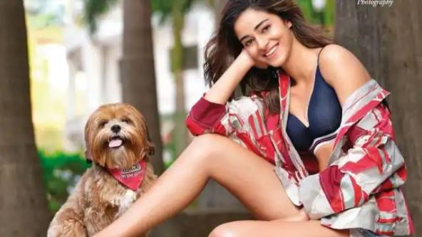 Ananya Pandey, who looked hot, said this special thing by sharing a photo