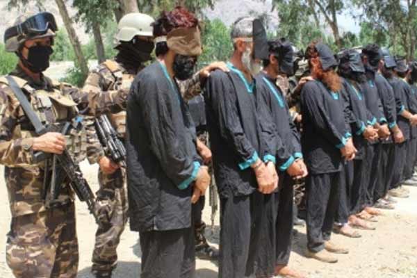 23 captured and 56 terrorists killed in southern Afghanistan