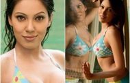 You will be shocked to see the bikini avatar of Taarak Mehta's Babita ji