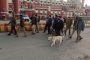 IT raids at Gonda's big contractor's house, raids going on in Lucknow and other places