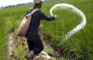 Big blow to farmers: After diesel, now there is a huge increase in the price of DAP fertilizer