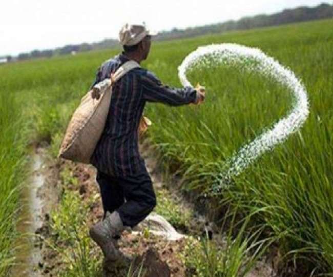Big blow to farmers: After diesel, now there is a huge increase in the price of DAP fertilizer
