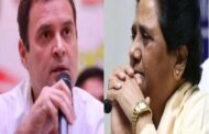 'We had asked Mayawati for an alliance, she didn't even talk', Rahul Gandhi's big statement