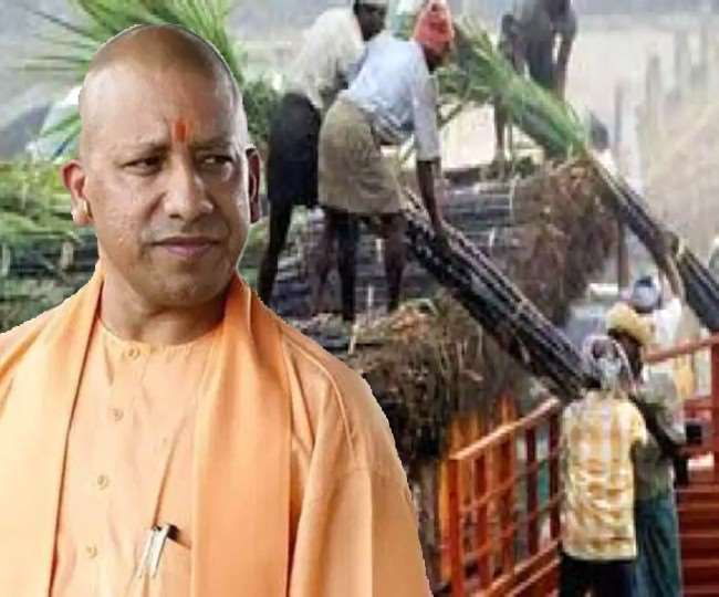 Sugarcane sweetness will increase in UP, Yogi government will pay 8 thousand crores in next 100 days