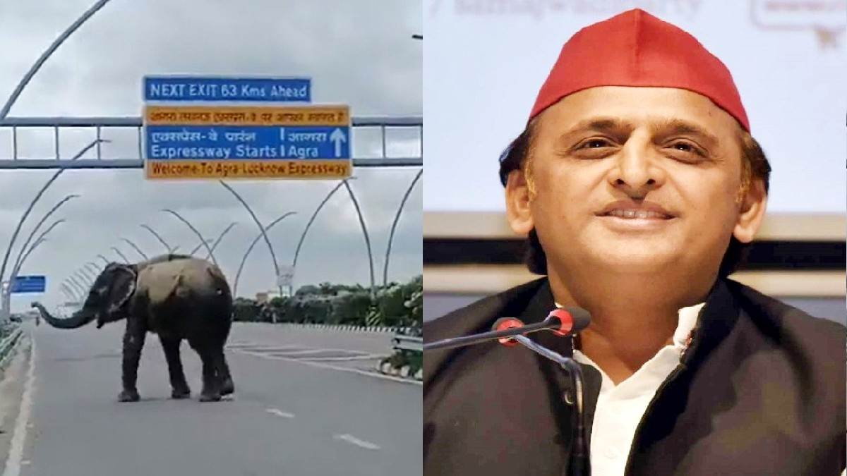 The elephant was seen walking on the Agra-Lucknow Express, Akhilesh shared the VIDEO pinch