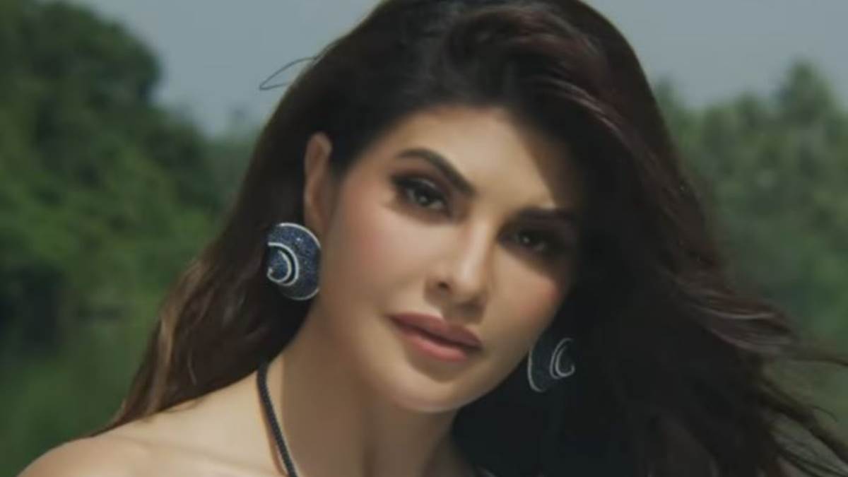Relief to actress Jacqueline Fernandes in money laundering case, court extends interim protection till November 10