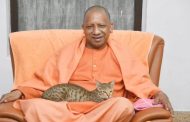 Cat in Yogi's lap, CM's name on Twitter is the last day of the year; There was a flurry of tweets and retweets.