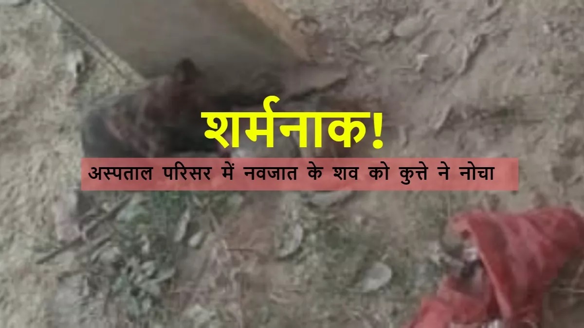 Dogs scratched the body of a newborn in Kushinagar's CHC, incident for the second time in three months