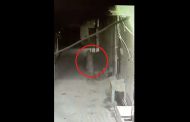 Video of ghost captured in CCTV!, is becoming increasingly viral on social media, see VIDEO