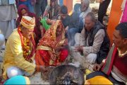 Amazing! The stove could burn in the house, so the father of 6 daughters became the bridegroom of a 24-year-old bride