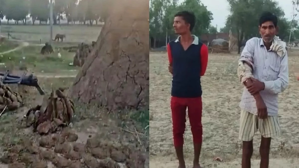 Hardoi News: Leopard entered the village, attacked 6 people; villagers in panic