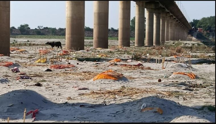 Hundreds of dead bodies started appearing again in the sand on the banks of the Ganges, people remembered the Corona period