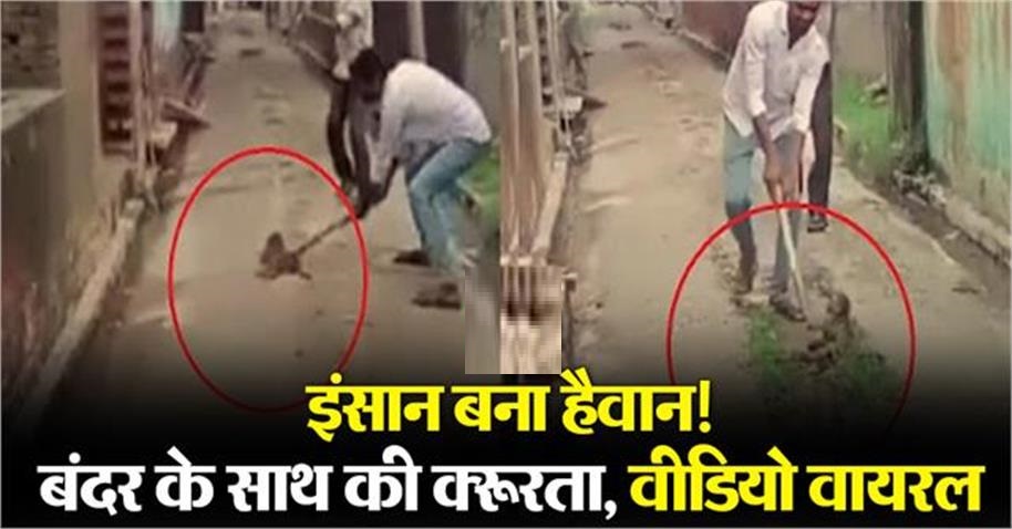 Human became a monster in Badaun! The young man beat the monkey's child to death
