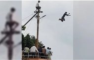 Video of four youths jumping to death by climbing electric pole in Kanpur goes viral, police reprimanded