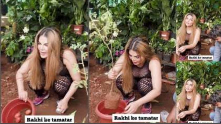 Rakhi Sawant told the technique of growing tomatoes in 15 days, said - arranged for seven births