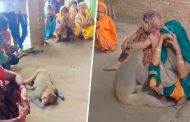 This friendship made one cry: After the death of the farmer, the monkey came to pay his last respects, kept his head in the lap of the women; lying on the ground