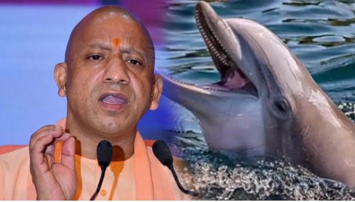 Gangetic dolphin gets status of aquatic animal of UP, CM Yogi Adityanath announced in Pilibhit