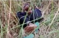 Angered by the goat entering the field, the farm owner tied the hands and feet of the child and threw him into the bushes, police is investigating.