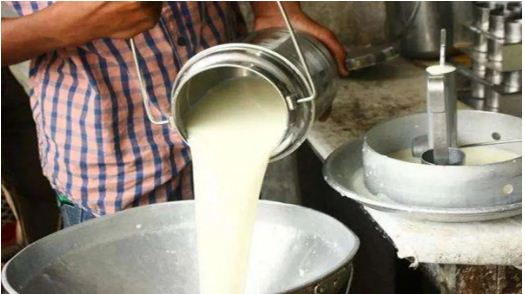 Husband used to sell milk by mixing it with water, wife took this step against adulteration