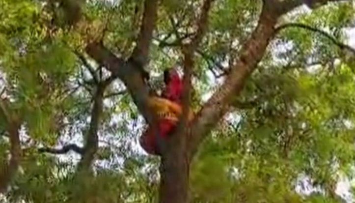 When her job was snatched away, a woman climbed a tree with a noose and diesel around her neck, and tricked the police and fire brigade personnel.