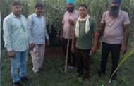 In Bijnor, thieves stole the goats tied in a cage to catch a leopard and had a feast