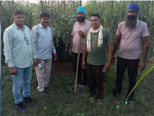 In Bijnor, thieves stole the goats tied in a cage to catch a leopard and had a feast