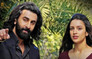 'I had lost my mind', Tripti Dimri was trolled a lot for doing intimate scenes in 'Animal', she cried for 3 days