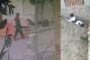 Ghaziabad: Fire breaks out in a 3-storey house in Loni, 4 people of the same family die, 4 injured